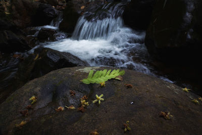 Scenic view of waterfall