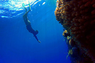 Young man swimming in sea 