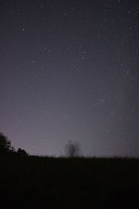 Silhouette trees on field against sky at night