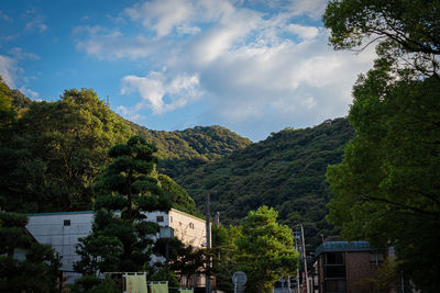 Low angle view of trees and buildings against sky