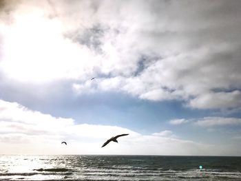 Seagulls flying over sea against sky