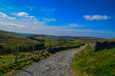 Road amidst field against sky