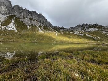 environment