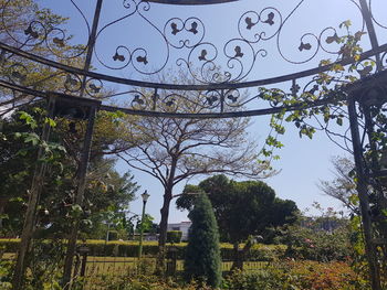 Low angle view of plants against clear sky