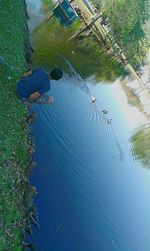 High angle view of lake