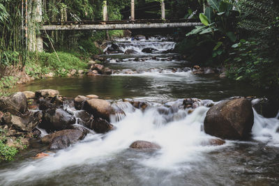 Stream flowing through rocks in forest