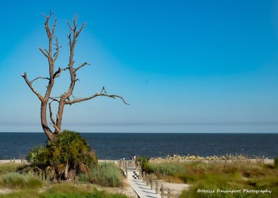 Scenic view of sea against clear blue sky