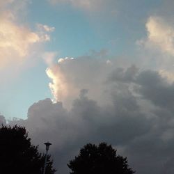 Low angle view of trees against cloudy sky