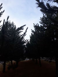 Silhouette trees on field against sky