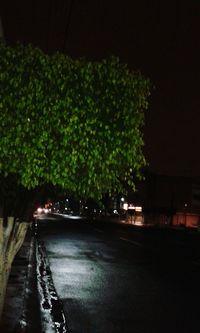 night