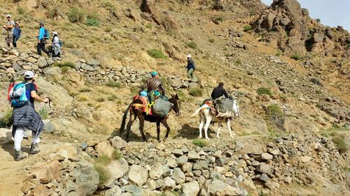 People riding horses on mountain against sky