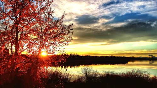 Scenic view of river at sunset