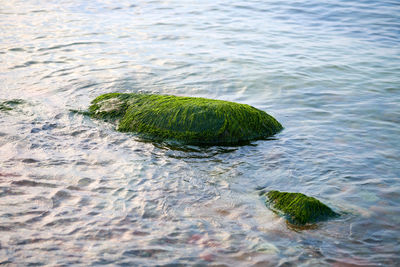 High angle view of water