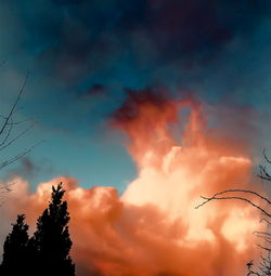 Low angle view of silhouette trees against sky at sunset