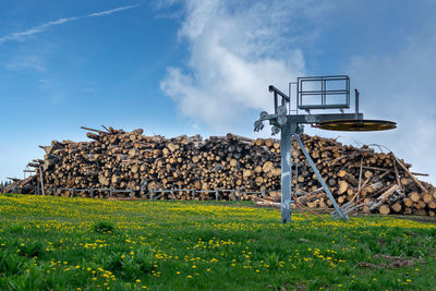 Piles of trunks from trees felled by storm vaia. monte avena, belluno, italy