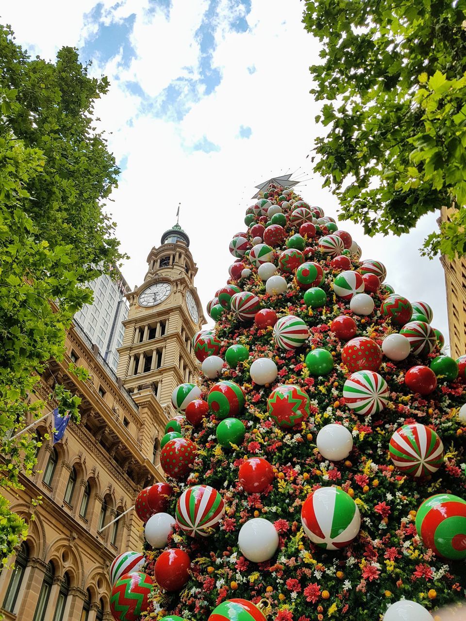 LOW ANGLE VIEW OF PLANTS AGAINST BUILDING AND TREES