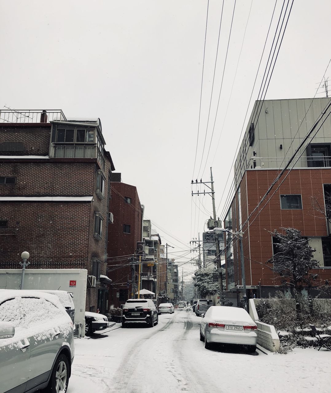 CARS ON ROAD AMIDST BUILDINGS IN CITY