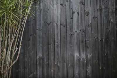 Full frame shot of weathered wooden fence