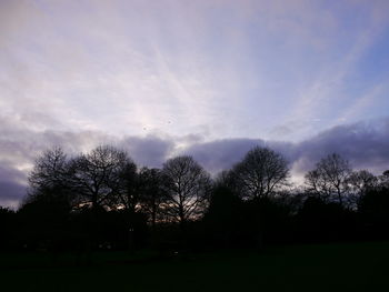 Silhouette trees against sky