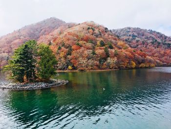 Scenic view of lake by trees against sky