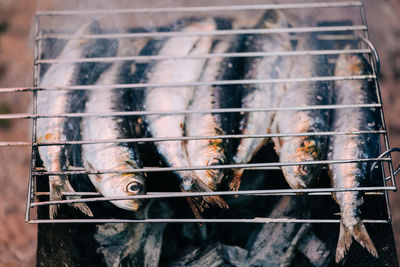 Fishes grilled in barbecue
