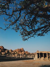 Low angle view of trees against old ruins and sky on sunny day at hampi