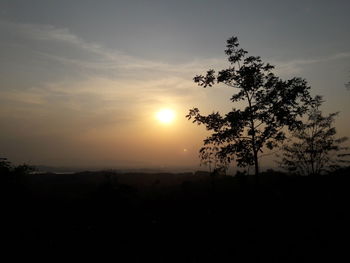 Silhouette of trees at sunset