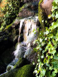 Scenic view of waterfall