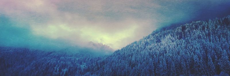 Snow covered trees against clouds