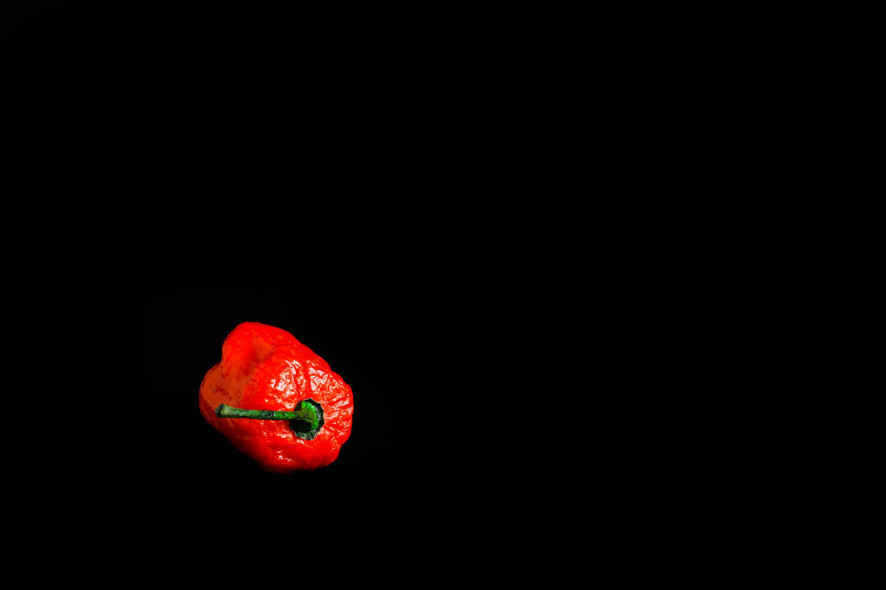 CLOSE-UP OF RED FRUITS AGAINST BLACK BACKGROUND