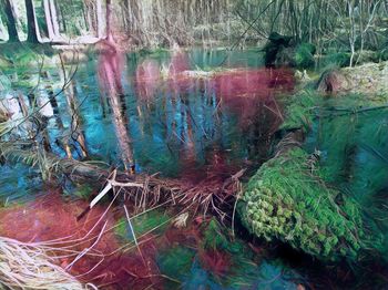 Full frame shot of multi colored water