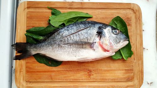 High angle view of fish on plate