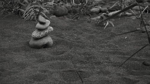 High angle view of pebbles on sand