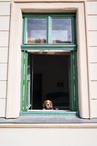 Portrait of woman looking through window in building