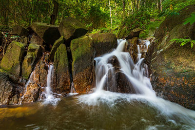 View of waterfall in forest