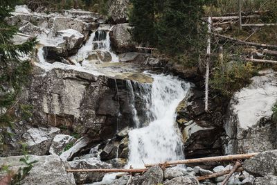 Scenic view of waterfall in forest