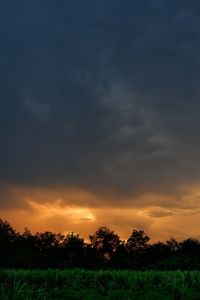 Scenic view of field against sky during sunset