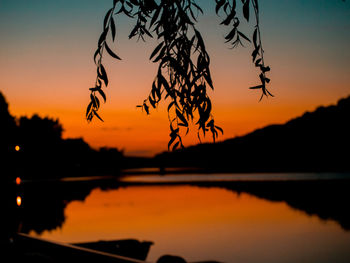 Close-up of silhouette tree by lake against sky during sunset