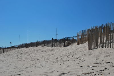 Birds on beach against clear blue sky