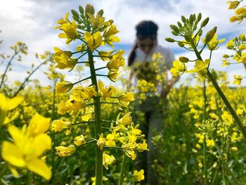 Close-up of fresh yellow flowering plants on field