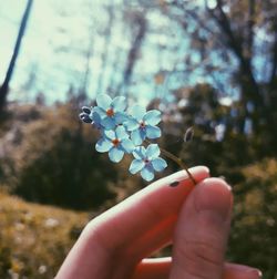 Close-up of hand holding plant