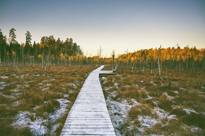 Footpath amidst trees on field against clear sky