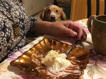 Portrait of dog with ice cream