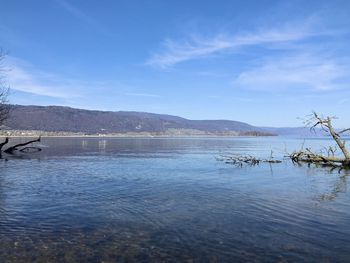 Scenic view of lake against blue sky