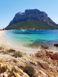 Scenic view of sea against clear blue sky