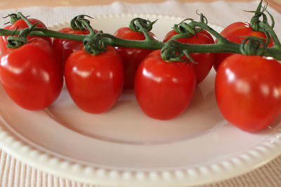 Close-up of tomatoes in plate