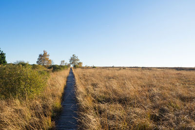 Scenic view of field against clear blue sky