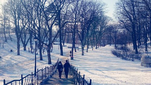 People on snow covered trees