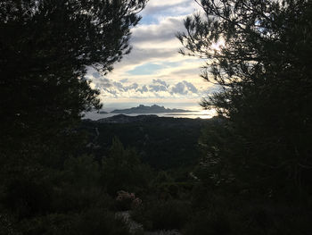 Scenic view of forest against sky