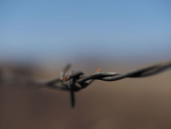 Close-up of barbed wire against sky